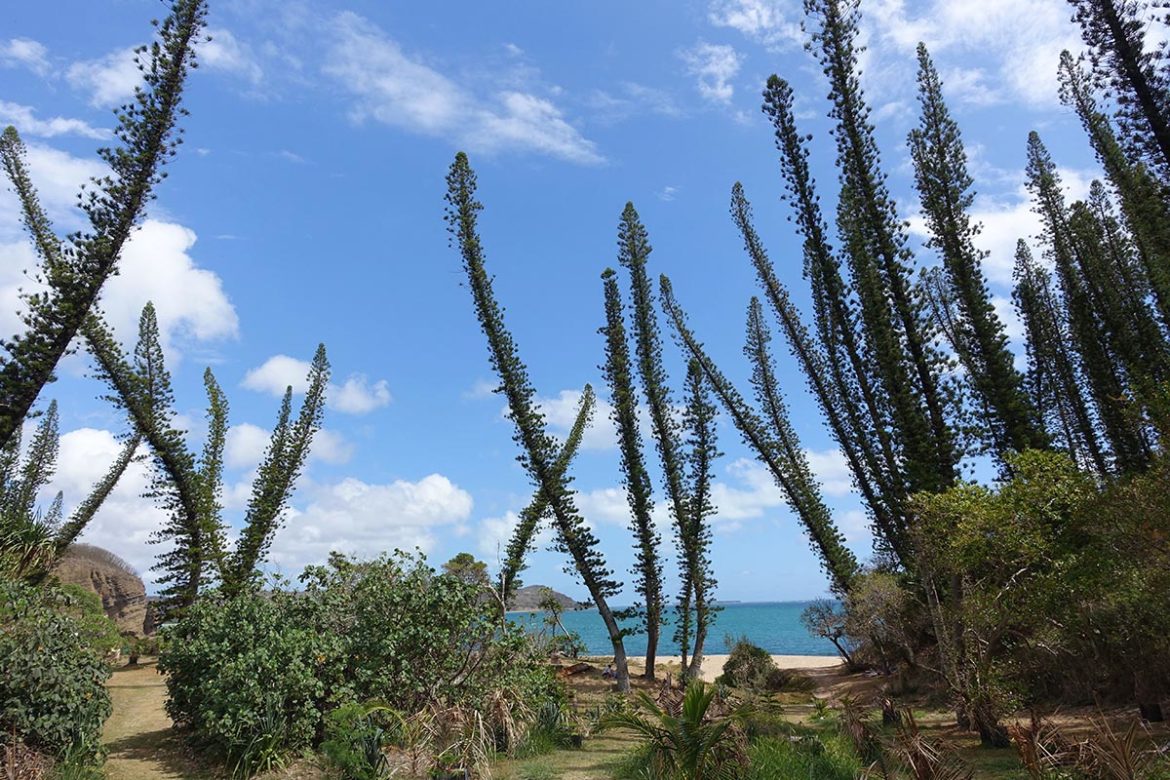 DSC06794 Nouvelle Calédonie