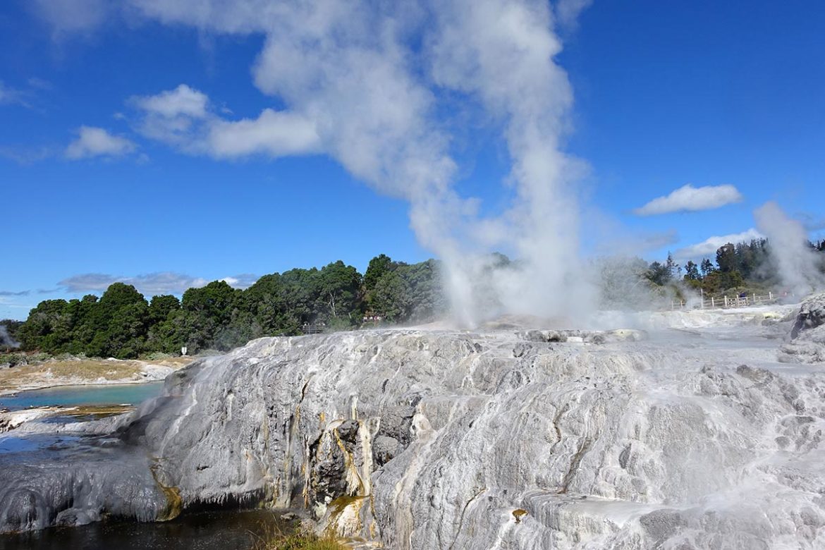 DSC08517 Nouvelle Zélande