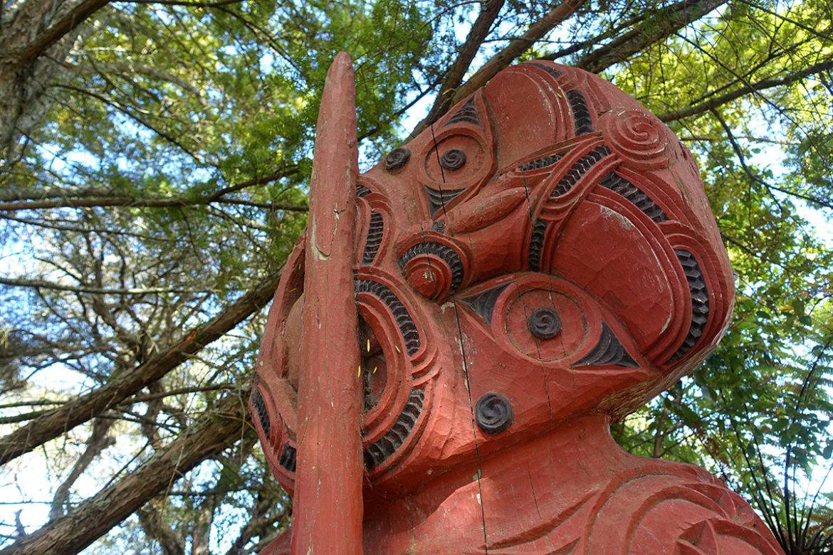 DSC08534_1200 Nouvelle Zélande